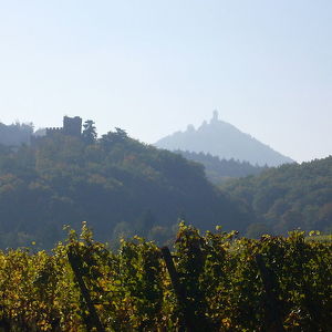 Замок Kintzheim