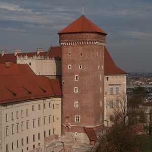 Senator's Tower