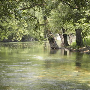 Dim River