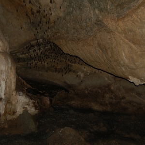 Пещера Гуа Черита