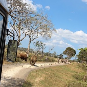 Кубинский национальный зоопарк 