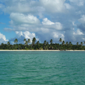 アンドロス島 (バハマ)
