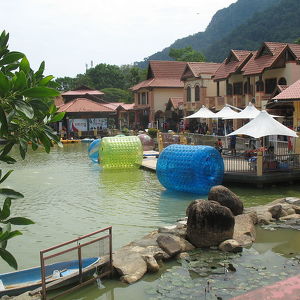 The Oriental Village market 