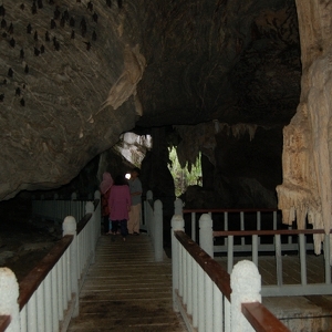 Cave of Bats