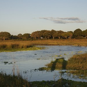 Parco nazionale di Katavi