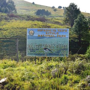 Parque nacional de Kitulo