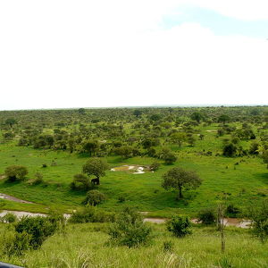 Национальный парк Тарангире