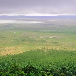 Zona de conservación de Ngorongoro