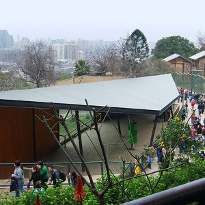 Чилийский Национальный зоопарк
