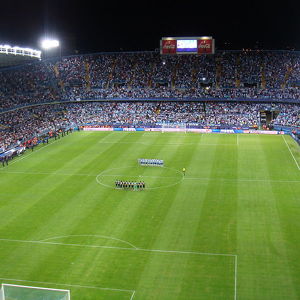 La Rosaleda Stadium