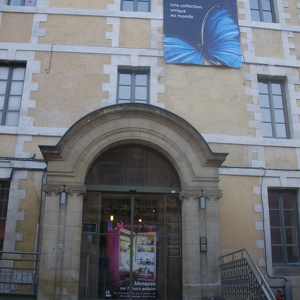 Muséum d'histoire naturelle de Rouen