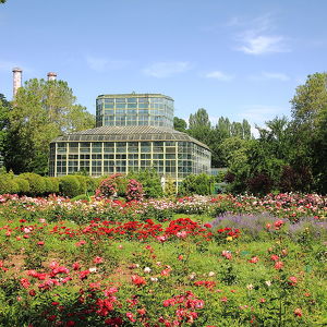 Бухарестский ботанический сад