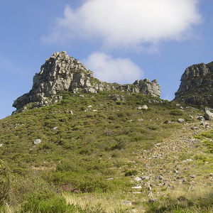 Cecilia, Table Mountain