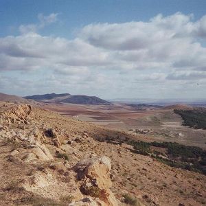 Hauts Plateaux (Algérie)