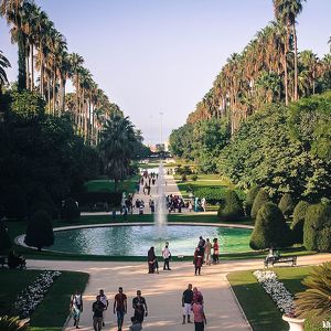 Ботанический Сад Хамма