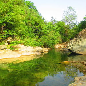 Parc national de Taza
