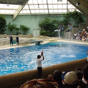 Dolphinarium in Minsk